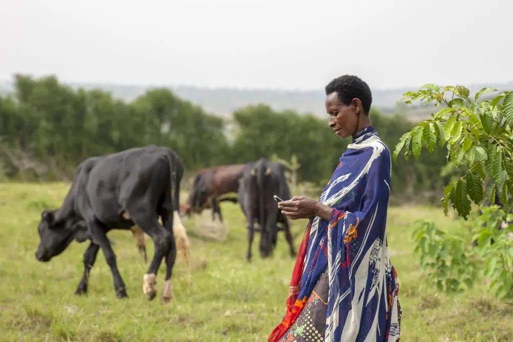 Introducing the SME Response Clinic