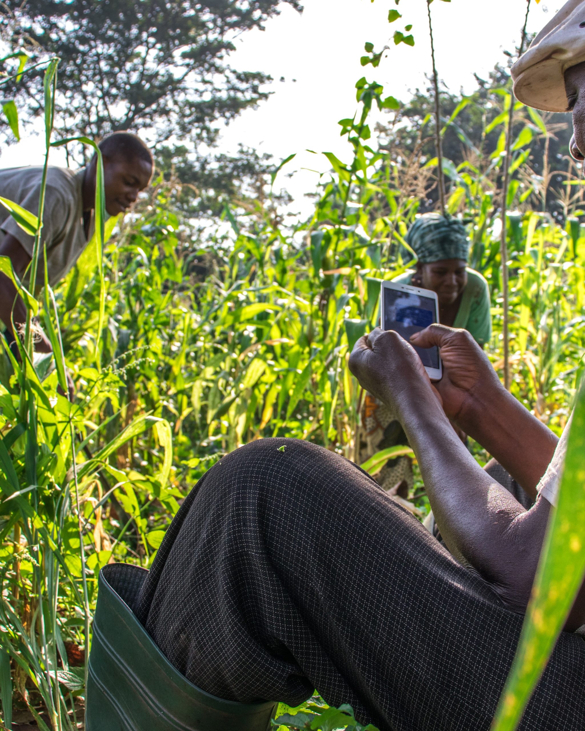 Building resilience for SMEs in the Agribusiness sector post COVID-19