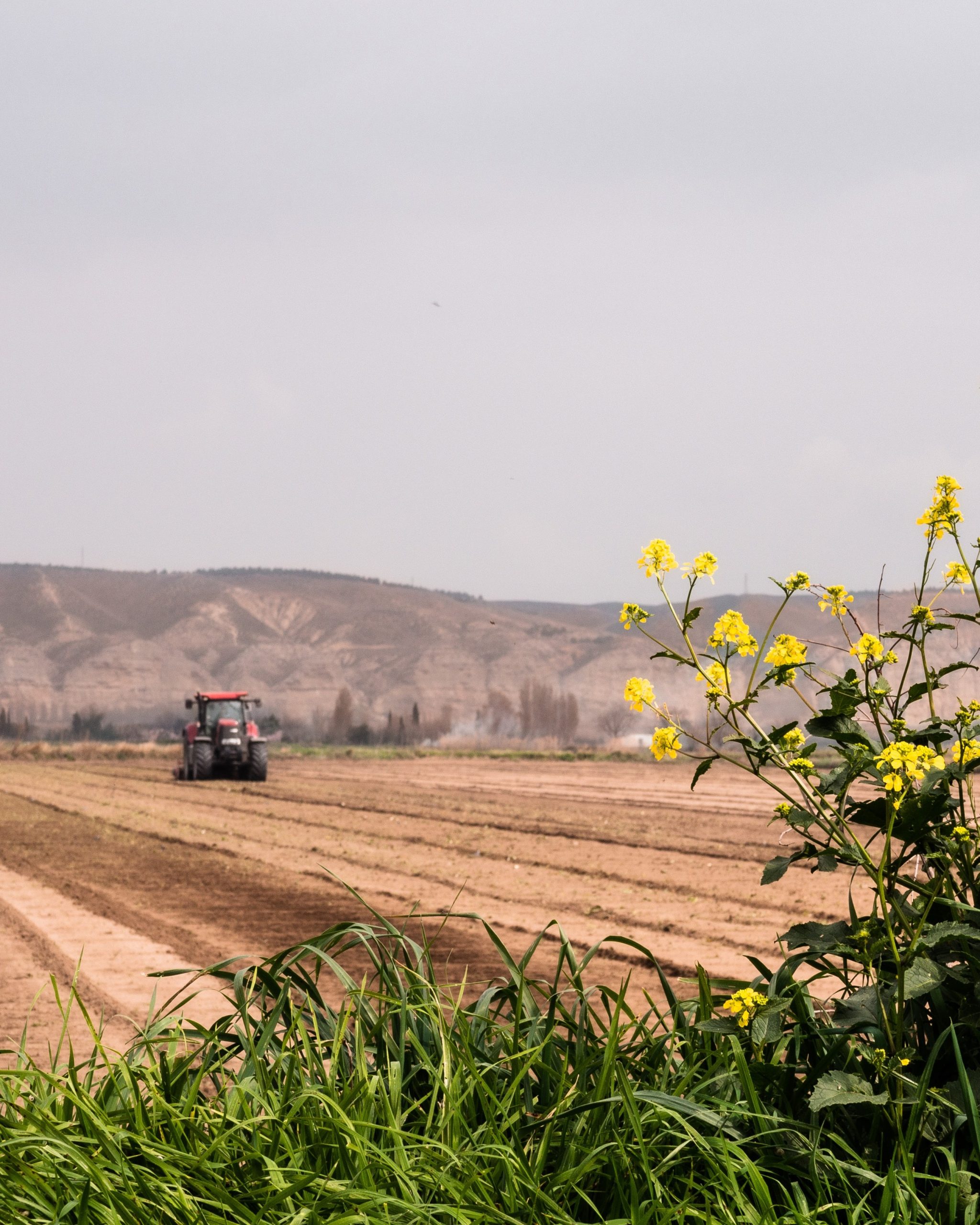 Learn How Stanbic Bank Uganda’s One Farm Platform Promotes Business Linkages Within the Agribusiness Sector